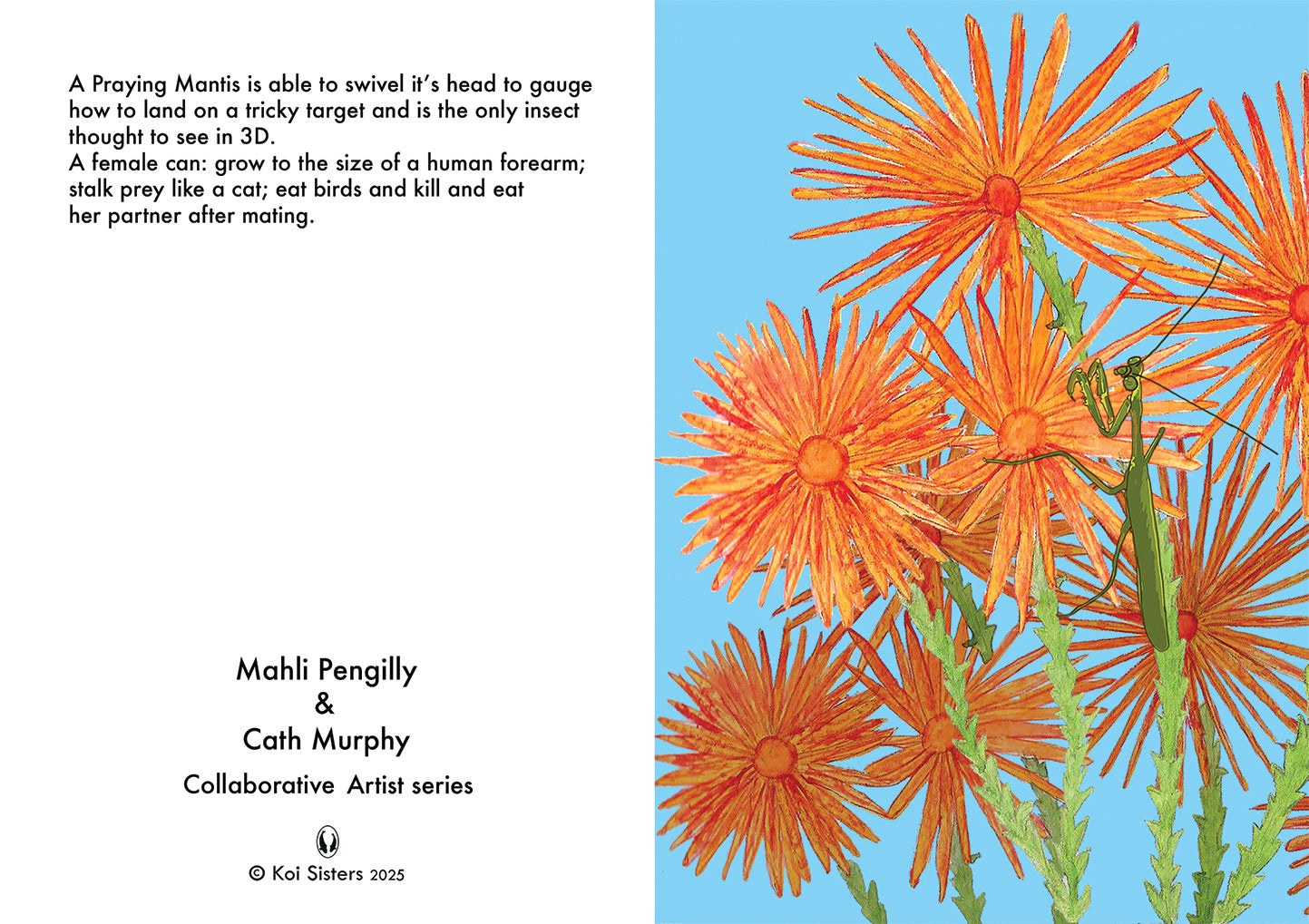 Koi Sisters Card - Orange Daisies & Praying Mantis