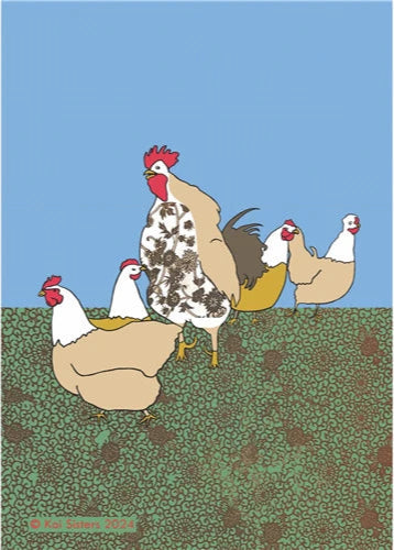 Koi Sisters - Rooster & Hens - A3 print