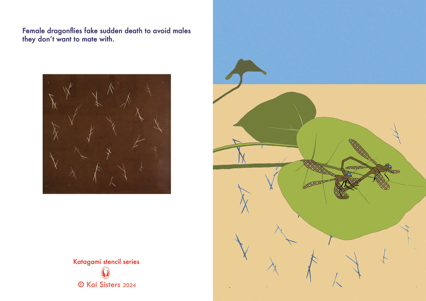 Koi Sisters Card - Dragonflies Lotus Leaf