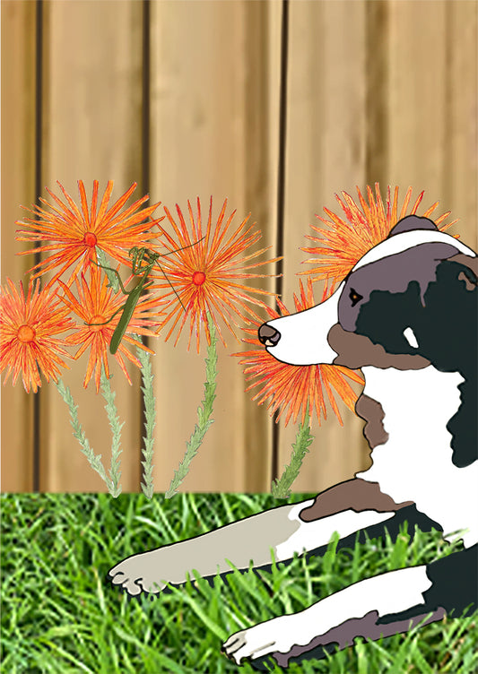 Koi Sisters Card - Urban 5, dog, praying mantis on orange daisies