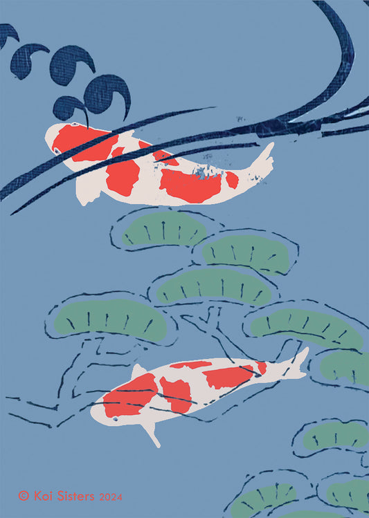 Koi Sisters - Blue Koi Close Up- A3 print