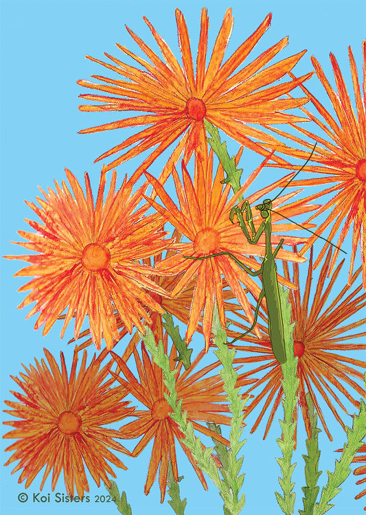 Koi Sisters - Orange Daisies & Praying Mantis A3 print