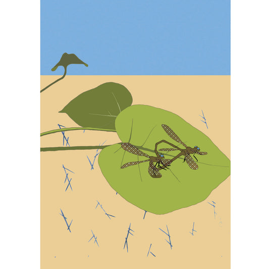 Koi Sisters Card - Dragonflies Lotus Leaf