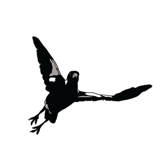 Koi Sisters Card - Magpie